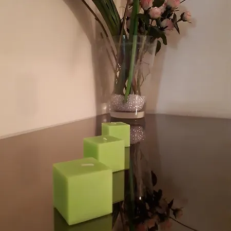 Apartment Cozy Moscova *